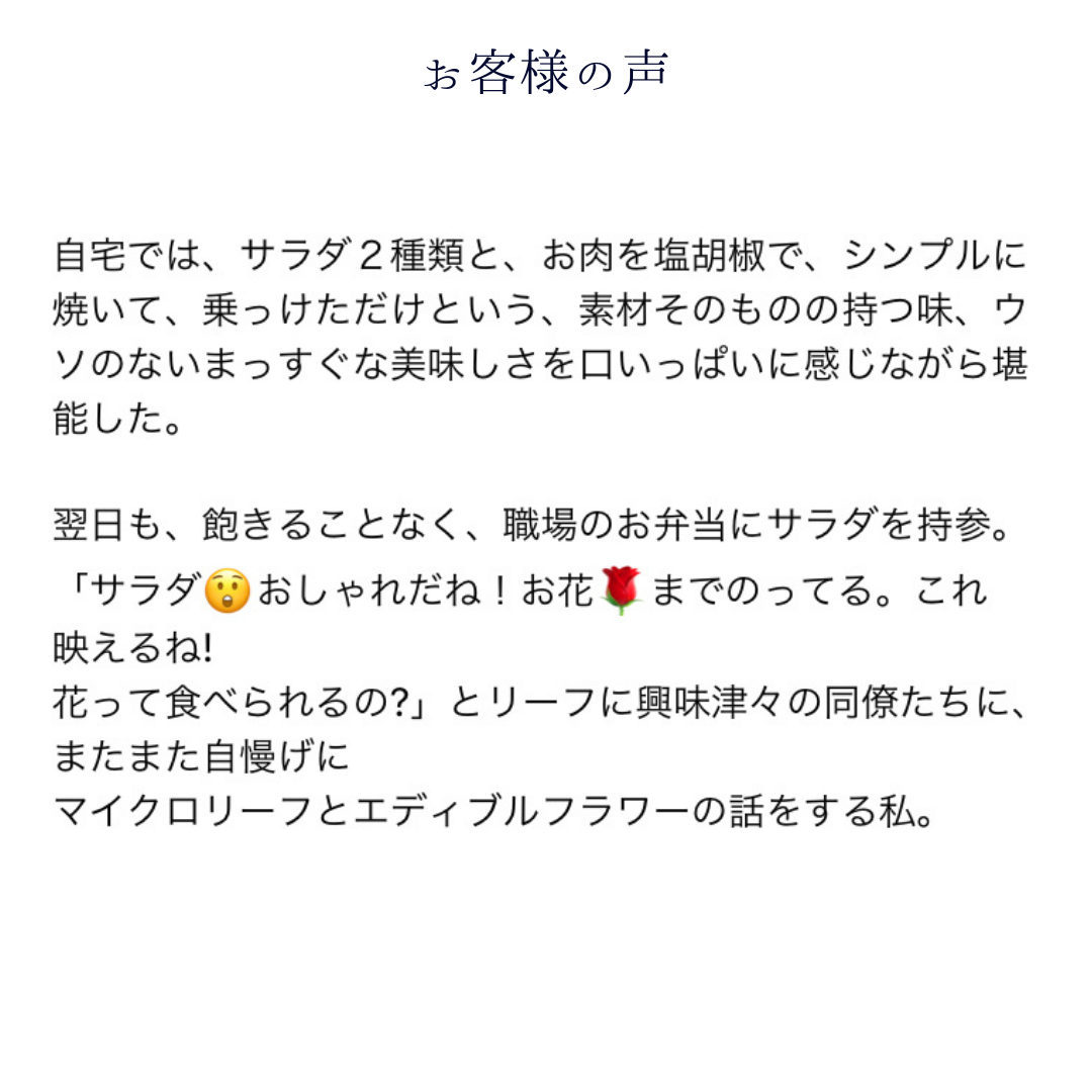 ギフトに!送料無料!マイクロリーフハーブミックス&エディブルフラワーミニパック付き with me! 6食分 10