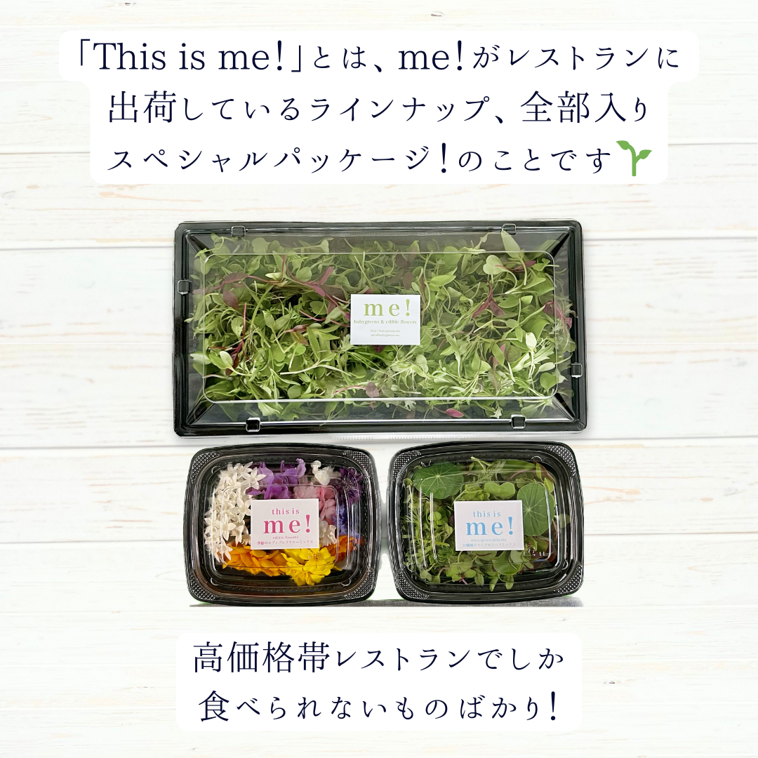 ギフトに！送料無料⭐️季節のマイクロリーフとエディブルフラワーが全て入ったスペシャルセット【This is me! 】メッセージカード付き⭐️ 2