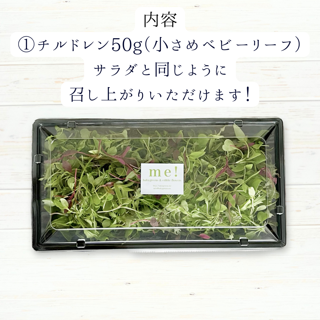 ギフトに！送料無料⭐️季節のマイクロリーフとエディブルフラワーが全て入ったスペシャルセット【This is me! 】メッセージカード付き⭐️ 3