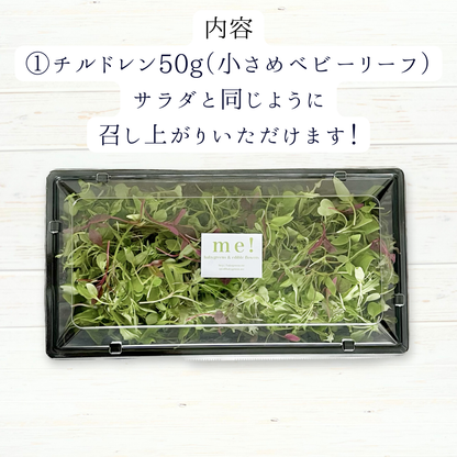 ギフトに！送料無料⭐️季節のマイクロリーフとエディブルフラワーが全て入ったスペシャルセット【This is me! 】メッセージカード付き⭐️ 3