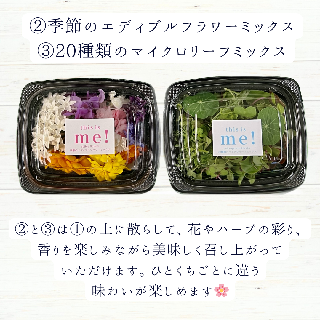 ギフトに！送料無料⭐️季節のマイクロリーフとエディブルフラワーが全て入ったスペシャルセット【This is me! 】メッセージカード付き⭐️ 4