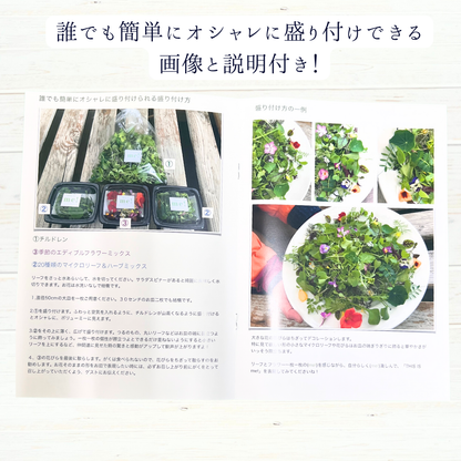 ギフトに！送料無料⭐️季節のマイクロリーフとエディブルフラワーが全て入ったスペシャルセット【This is me! 】メッセージカード付き⭐️ 6