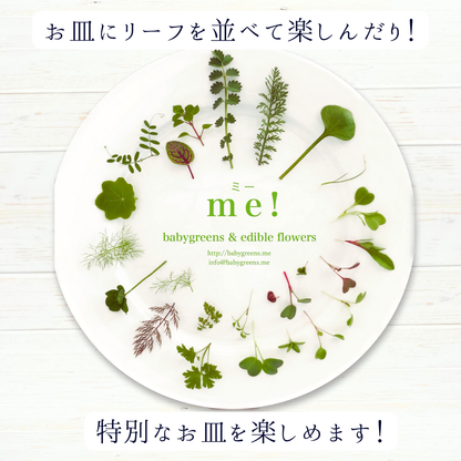 ギフトに！送料無料⭐️季節のマイクロリーフとエディブルフラワーが全て入ったスペシャルセット【This is me! 】メッセージカード付き⭐️ 10