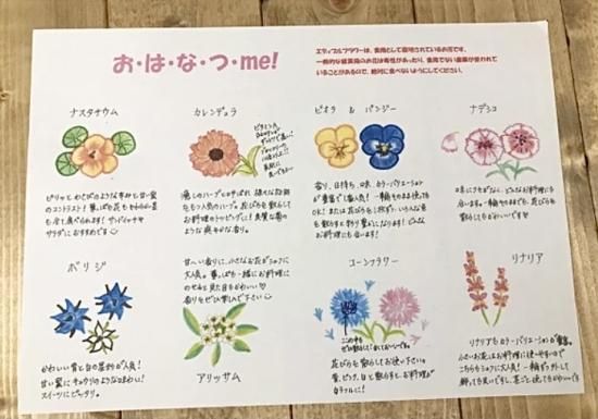 【お・は・な・つ・me!】　　🌸豪華体験フルコース（2～3名さまにおススメ） 4