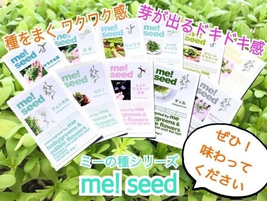 【seed me！何度も使える土のミニプランター栽培セット】 2