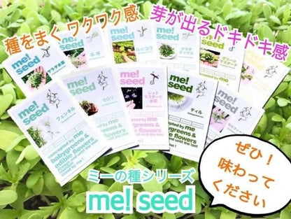 【seed me！何度も使える土のミニプランター栽培セット】 2