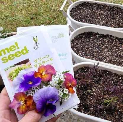 【seed me！何度も使える土のミニプランター栽培セット】 3
