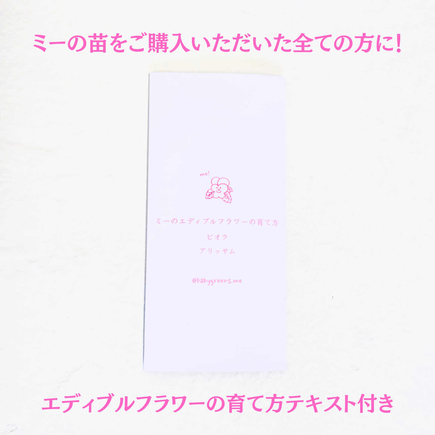 【2025年10月先行予約受付】送料無料！組み合わせ自由！エディブルフラワー ビオラ・アリッサム苗  4個セット  6