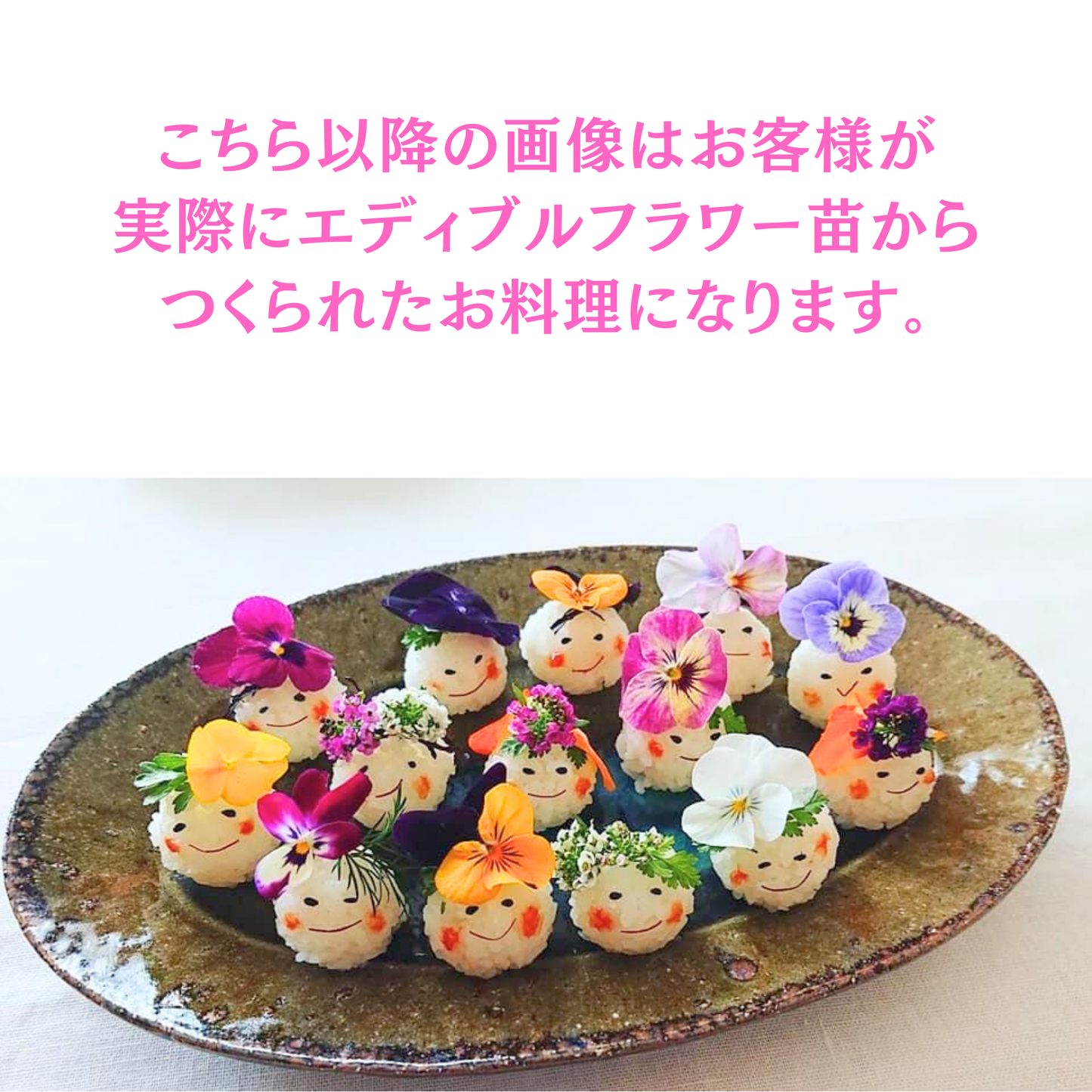 【2025年10月先行予約受付】送料無料！組み合わせ自由！エディブルフラワー ビオラ・アリッサム苗  4個セット  8