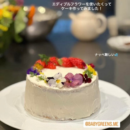 【2025年10月先行予約受付】送料無料！組み合わせ自由！エディブルフラワー ビオラ・アリッサム苗  4個セット  9
