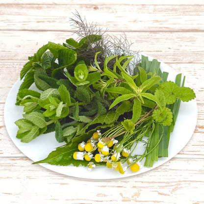 季節のフレッシュハーブティーミックス